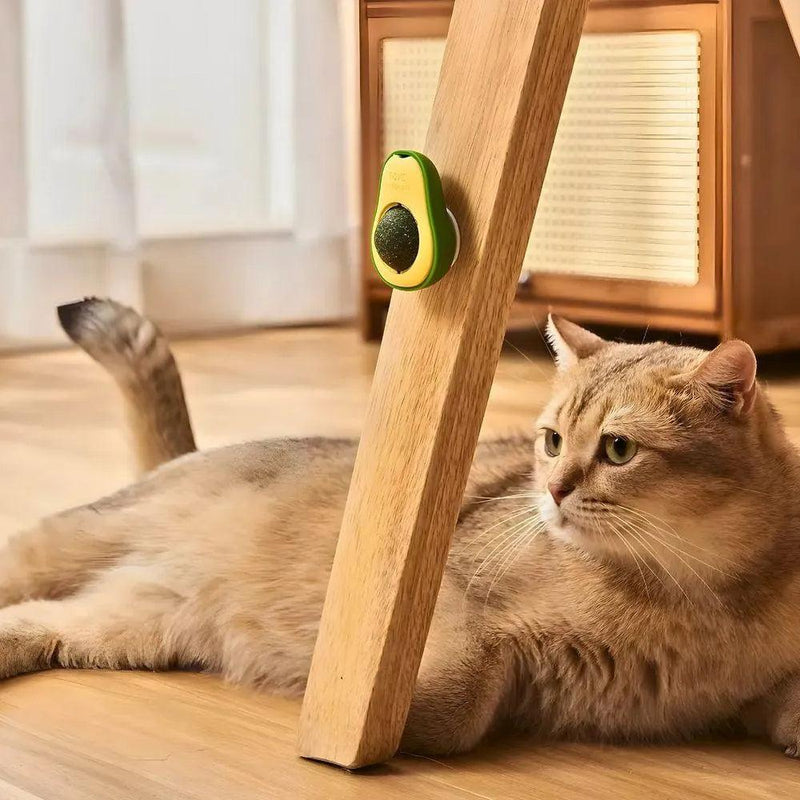 Brinquedo de Abacate com Catnip para Gatos – Divertido e Natural