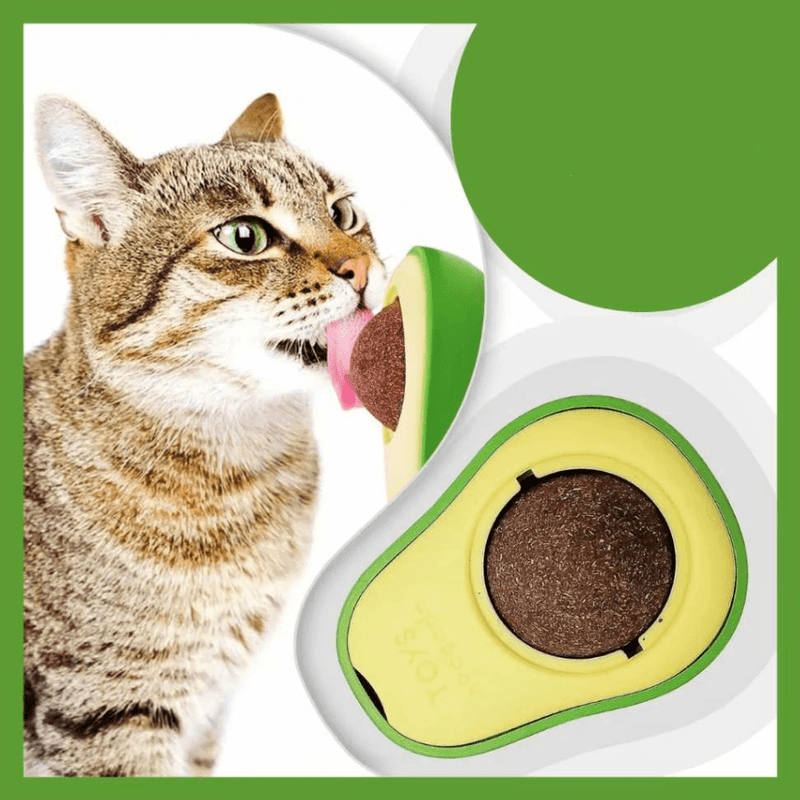 Brinquedo de Abacate com Catnip para Gatos – Divertido e Natural