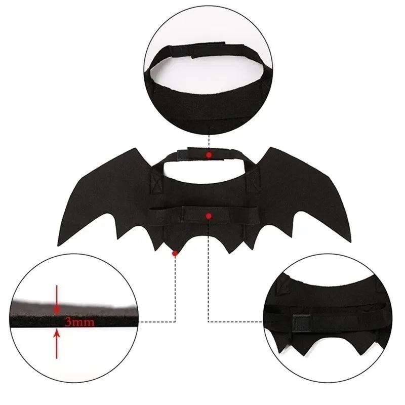 Asas de Morcego para Gatos – Fantasia Halloween 🦇🐱