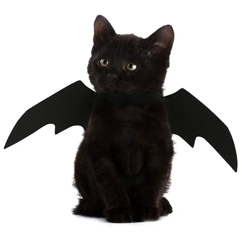 Asas de Morcego para Gatos – Fantasia Halloween 🦇🐱