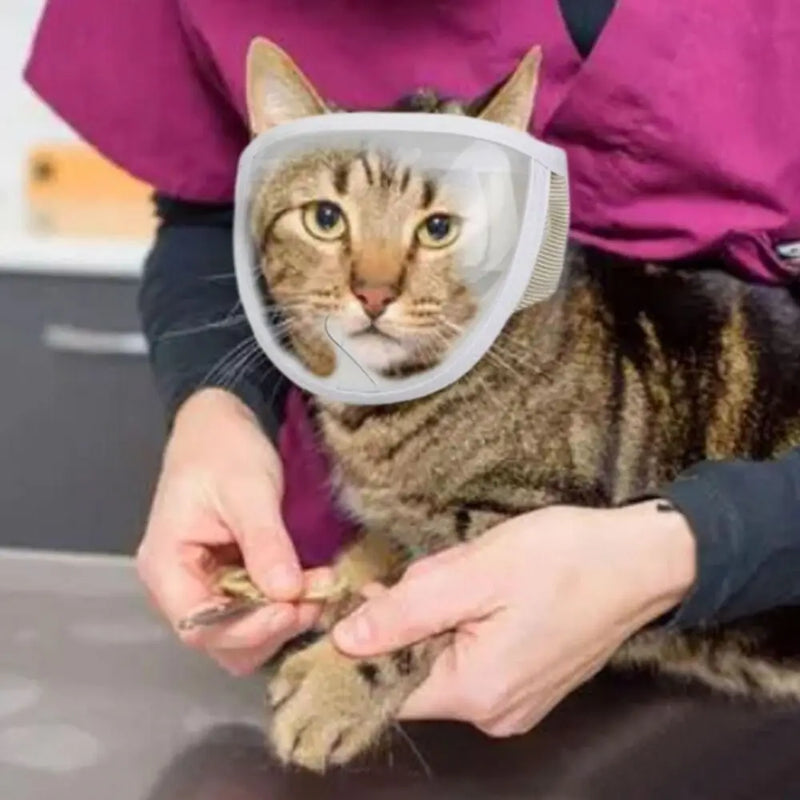 Focinheira Transparente Respirável para Gatos – Antimordida, Ajustável e Portátil