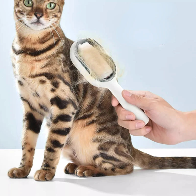 Escova Removedora de Pelos Para Gatos em Silicone