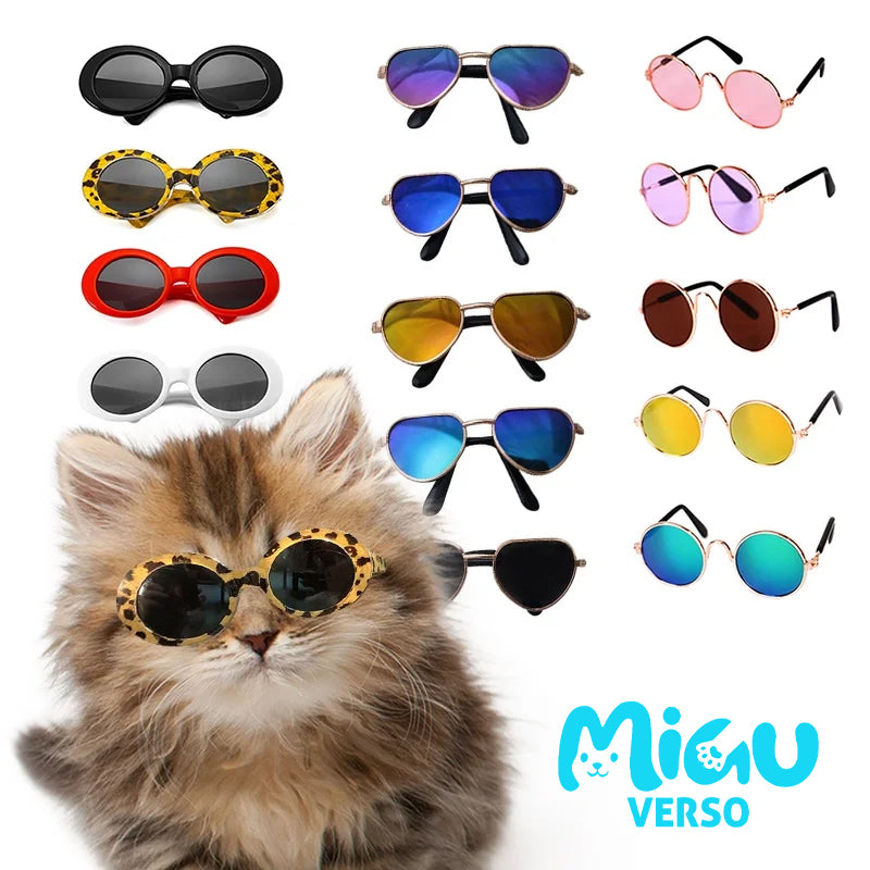 Óculos de Sol para Gatos 😎🐱