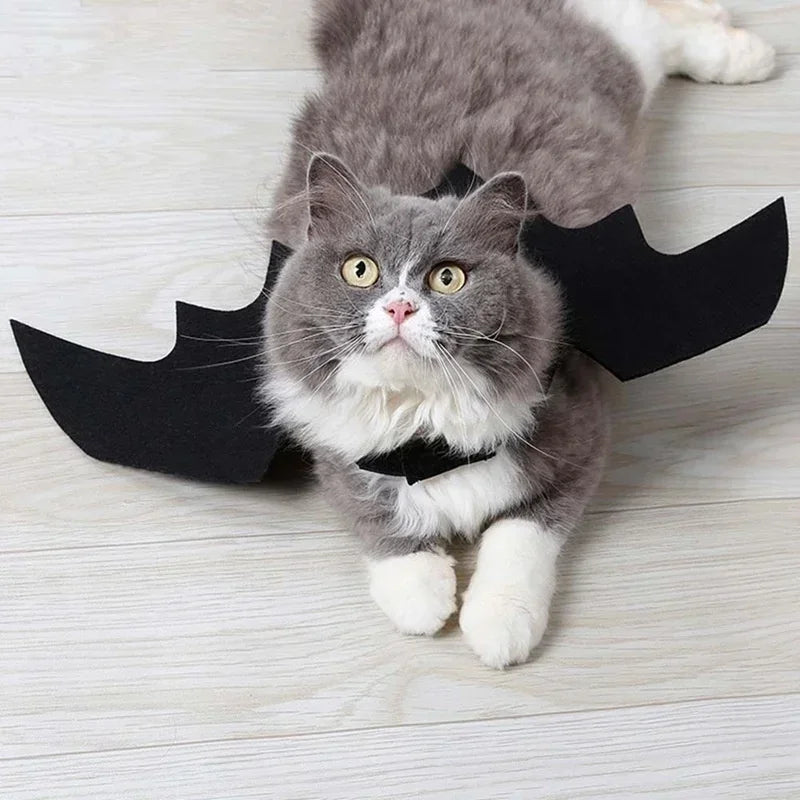 Asas de Morcego para Gatos – Fantasia Halloween 🦇🐱