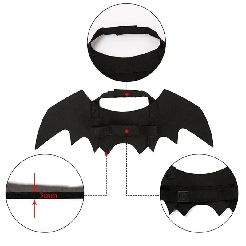 Asas de Morcego para Gatos – Fantasia Halloween 🦇🐱