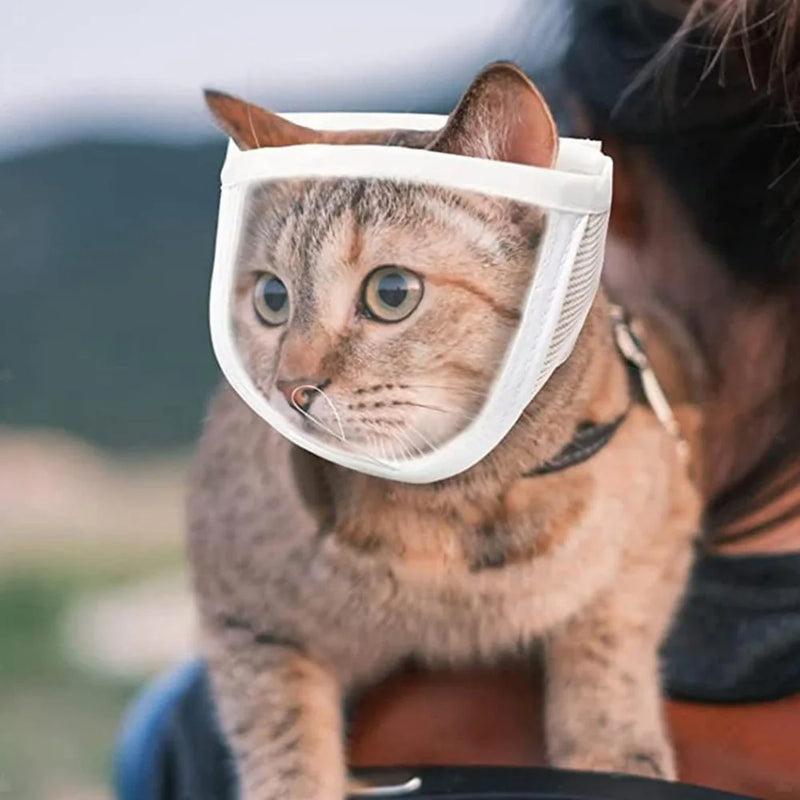 Focinheira Transparente Respirável para Gatos – Antimordida, Ajustável e Portátil
