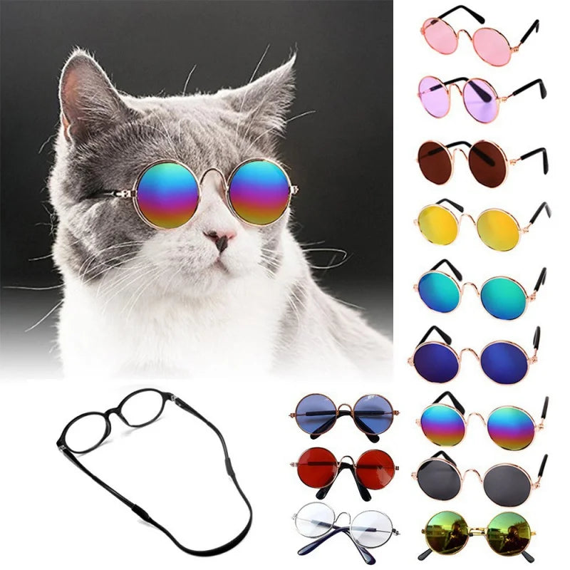 Óculos de Sol para Gatos 😎🐱