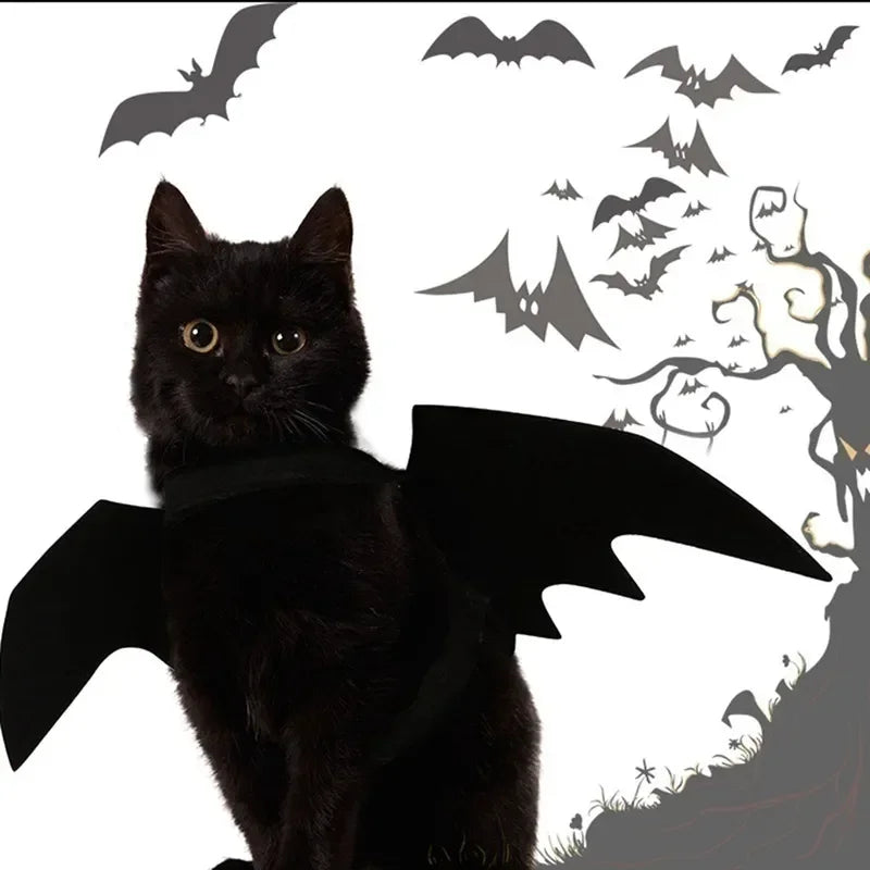 Asas de Morcego para Gatos – Fantasia Halloween 🦇🐱