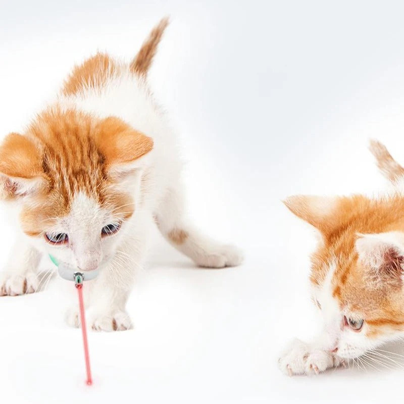 Coleira Inteligente com Laser para Gatos – Brinquedo Automático e Recarregável via USB