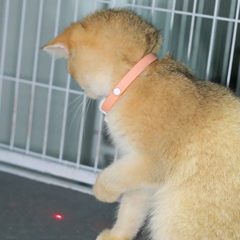 Coleira Inteligente com Laser para Gatos – Brinquedo Automático e Recarregável via USB